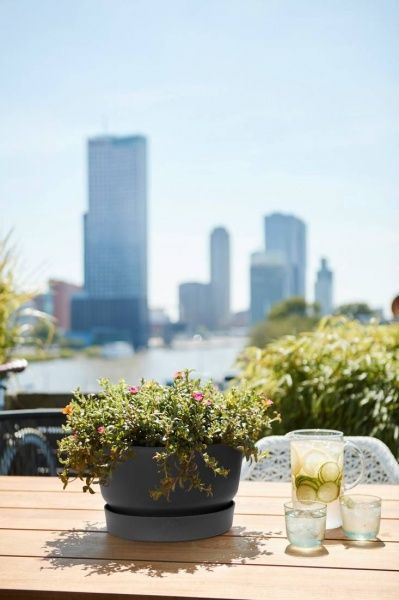 Вазон пластиковый Elho Greenville Bowl 33 см круглый 11,6 л графит (332365) 