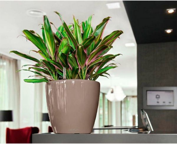 Вазон пластиковый Lechuza Classico Premium LS 21 круглый 9,6л коричневый 