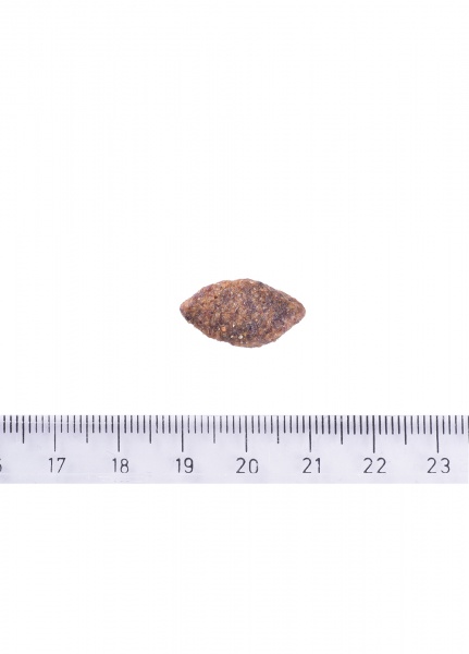 Корм сухий беззерновий для усіх порід Brit Care Grain-free Sensitive з олениною 12 кг