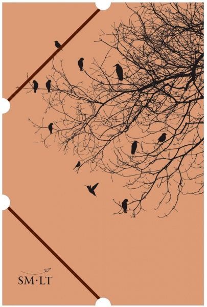 Папка для живописи А3 крафт Smiltainis