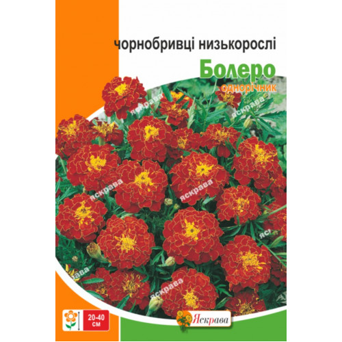 Семена Яскрава бархатцы Болеро