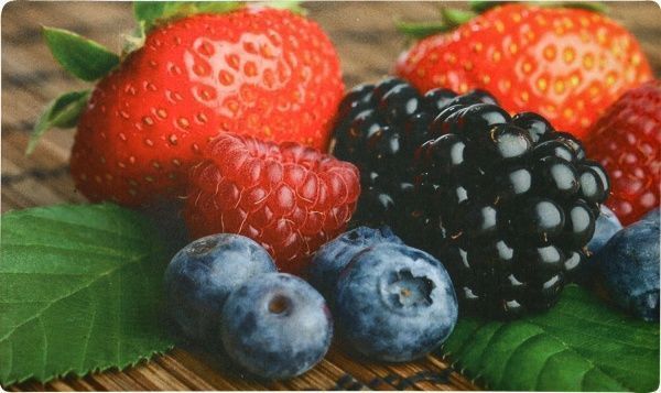 Килимок New Way Dolphin AT-014 0,45х0,75 м