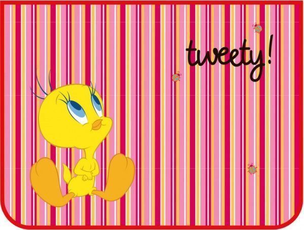 Папка пластиковая В5 TW05300 Cool For School