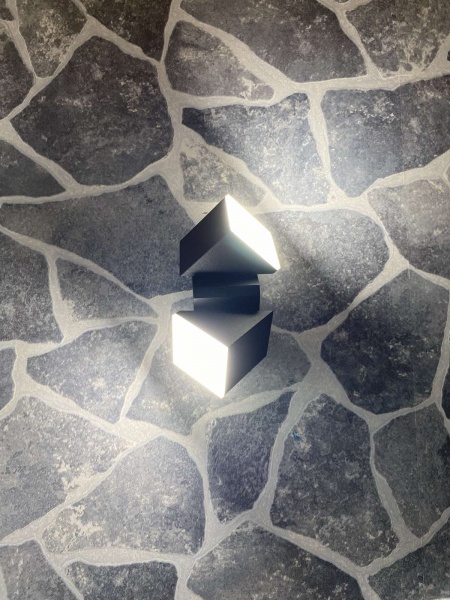 Светильник настенный Blitz 4000K 19156 2x13 Вт черный 