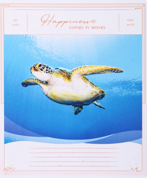 Тетрадь школьная Tadward коса