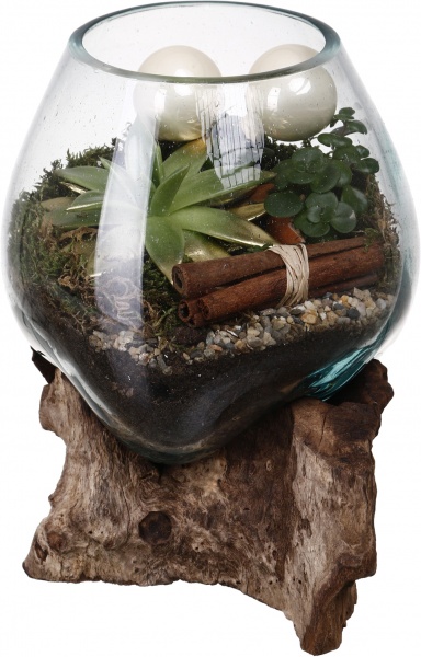 Рослина кімнатна Композиція золота колекція сукуленти з кулями у плавленій вазі в дереві 20х25 см