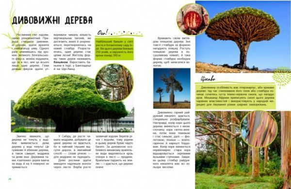 Книга «Світ і його таємниці: Життя лісу» 978-617-09-4439-9