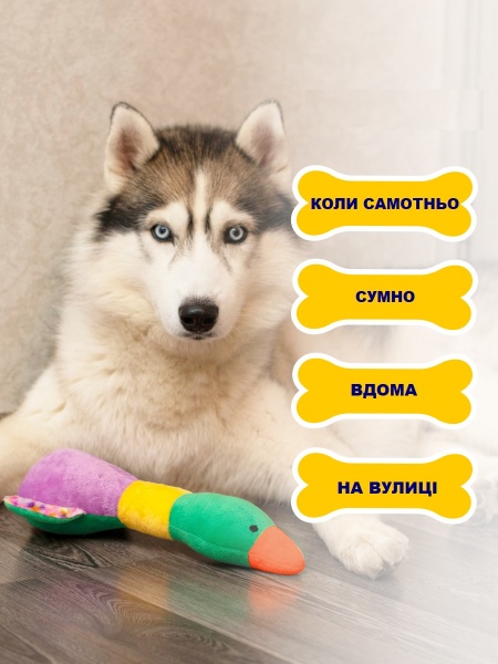 Игрушка для собак DGT-PETS Качка DOG2