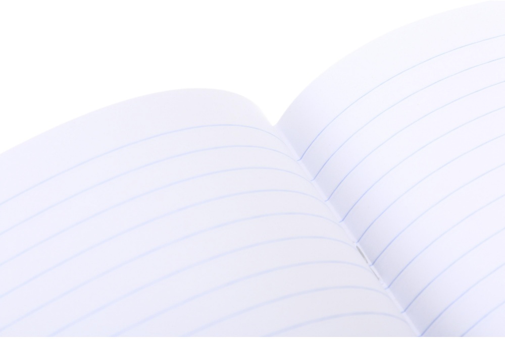 Тетрадь школьная Pixel_25 24 листов линия Nota Bene