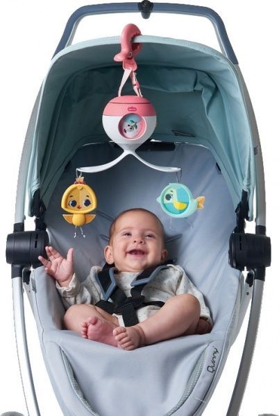 Развивающая игра Tiny Love Little World Princess 1306206830