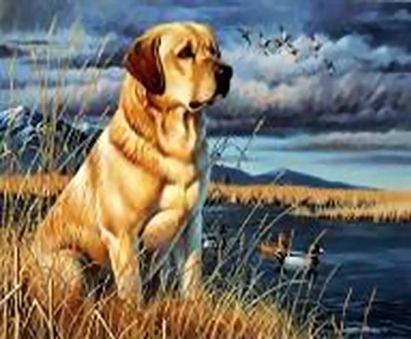 Картина стразами на подрамнике Ожидание 50x40 см 188369 Діамантові ручки 