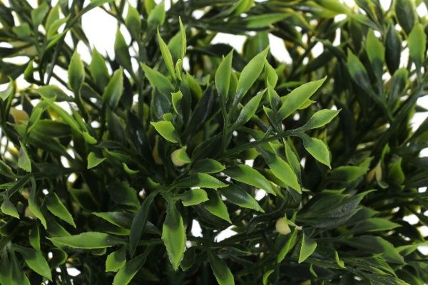 Цветочная композиция искусственная Мирта в вазоне зеленая PFC(NL)-088R