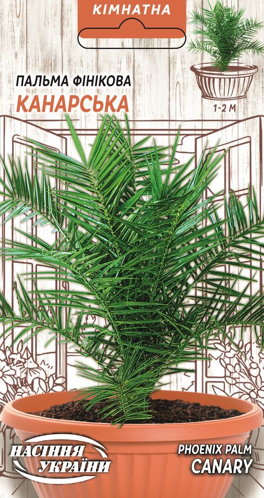 Насіння Фінікова КАНАРСЬКА