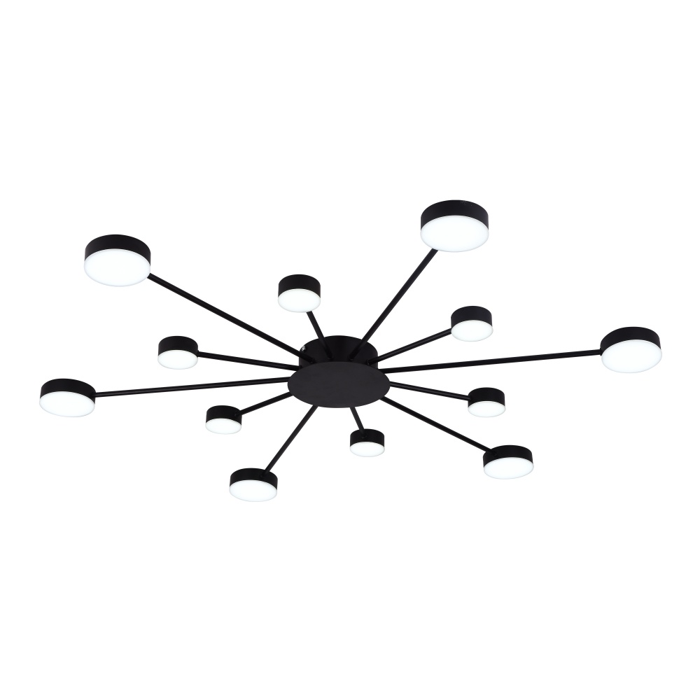 Люстра Miorro LED Foresta 12x6,3 Вт LED-модуль чорний 51-313-004