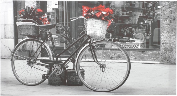 Репродукція Ретро-велосипед G159 53x100 см 