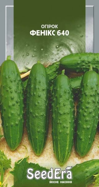 Насіння Seedera огірок Фенікс 640 20г