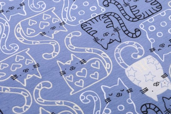 Пижама женская Roksana Kaleidoskope 861/16419 р. 4XL синий с серым 