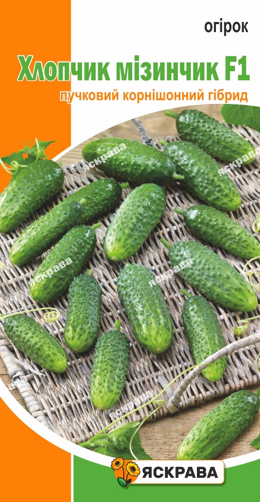 Семена Яскрава огурец Мальчик мизинчик F1 0,5г (4823069937652)