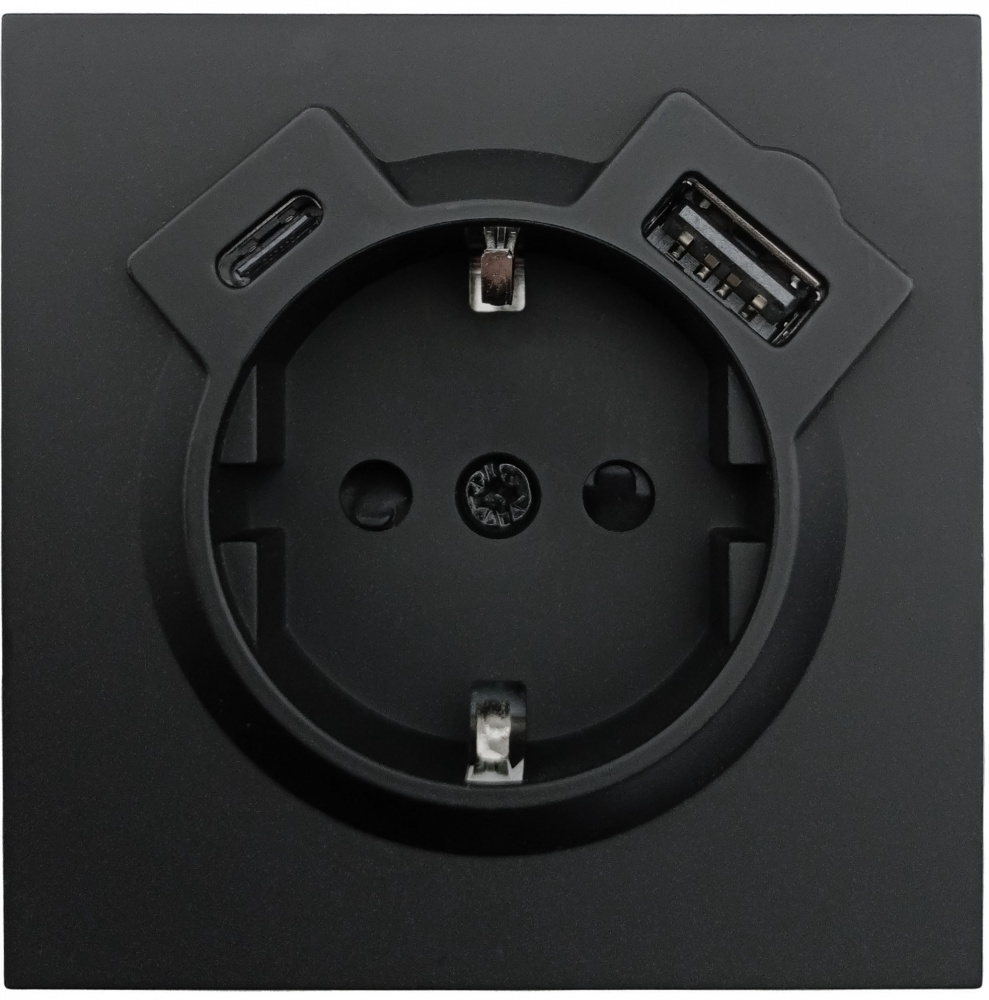 Розетка бытовая + USB + Type C с заземлением HausMark Juna черный