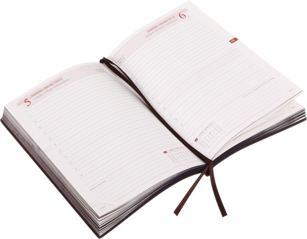 Дневник датированный Velvet Leo Planner Velvet A5 2023
