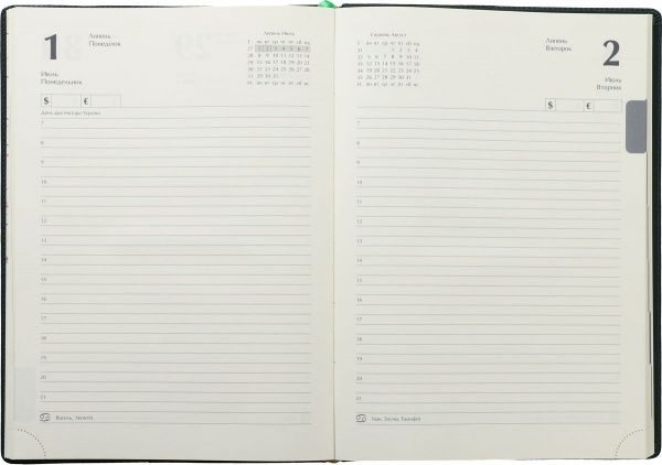 Дневник 2019 Bravo А4 336 страниц зелений Buromax 