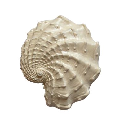 Декор гипсовый Подарок моря 2