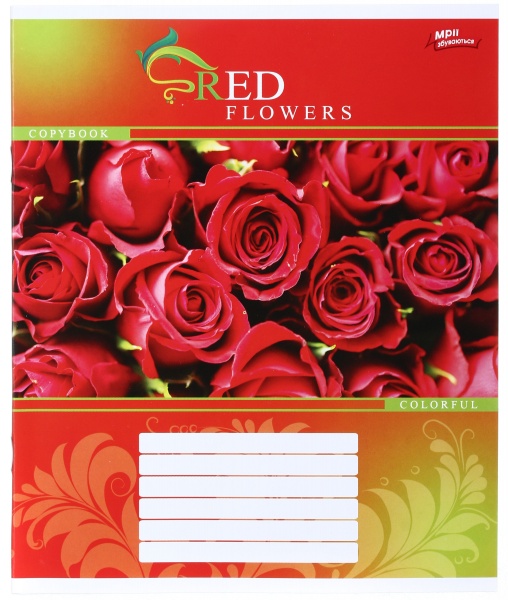 Зошит шкільний 24 аркуша у клітинку в асортименті Мрії збуваються