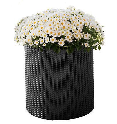 Горщик пластиковий Keter S Cylinder Planter круглий 7л сірий 