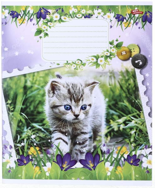 Зошит шкільний 12 аркушів у лінійку дизайн в асортименті Мрії збуваються