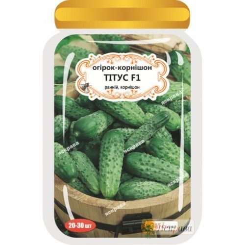 Семена Яскрава огурец Титус F1 20 шт. (4823069908881)