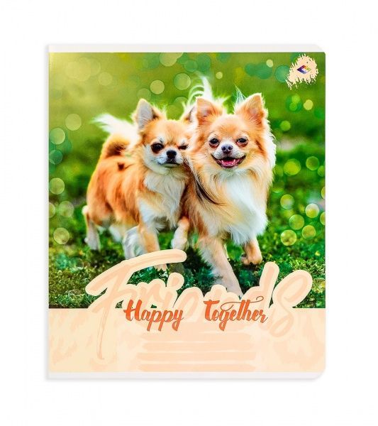 Комплект тетрадей Парочки 24 листа в клетку 20 шт. Поділля