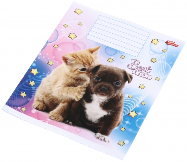 Тетрадь школьная с глитером 18 листов в клеточку в ассортименте Мечты сбываются