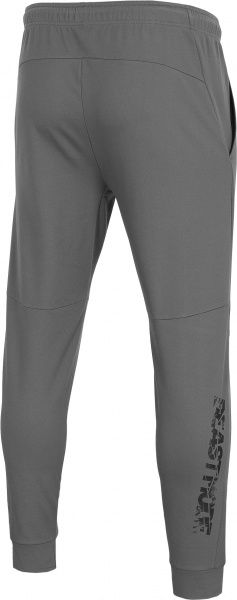 Штани 4F D4Z20-SPMTR111-25S р. XXL сірий