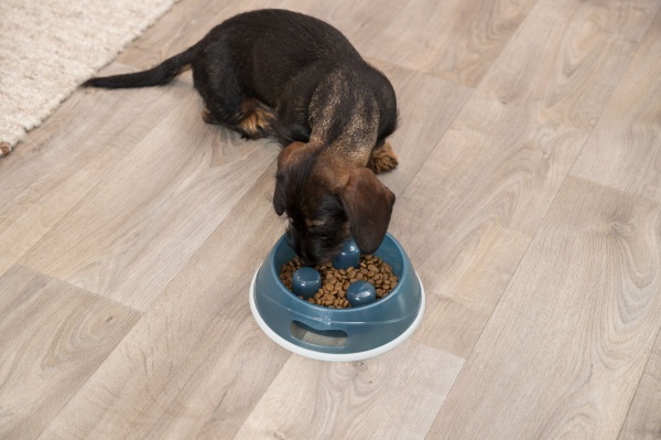 Миска Trixie для собак повільне годування термопласна гума 1,5 л 27 см (25033)