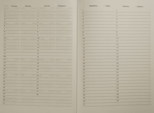 Щоденник DIAMANTE A5 недатований фіолетовий Buromax 