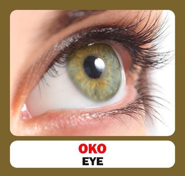 Книга «Навчальний посібник. Частини тіла»