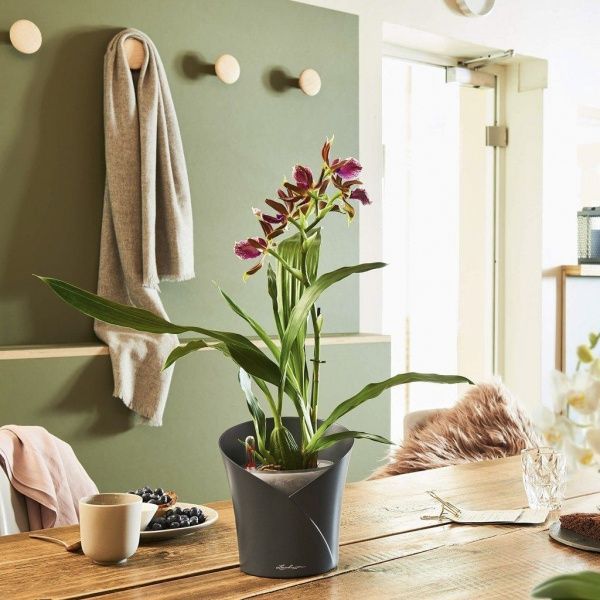 Вазон пластиковий Lechuza ORCHIDEA фігурний 1л білий (13960) 