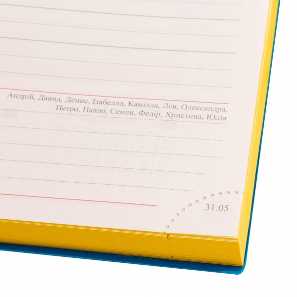 Щоденник датований Freedom синій 368 стор. Leo Planner Unique A5 2024