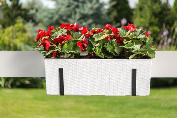 Горщик для квітів Lamela Бегонія ротанг прямокутний 37,7л білий 