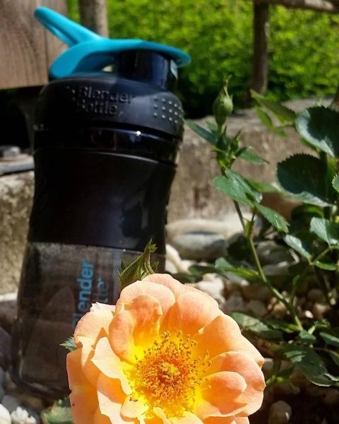 Шейкер Sport Mixer 590 мл black/teal Blender Bottle