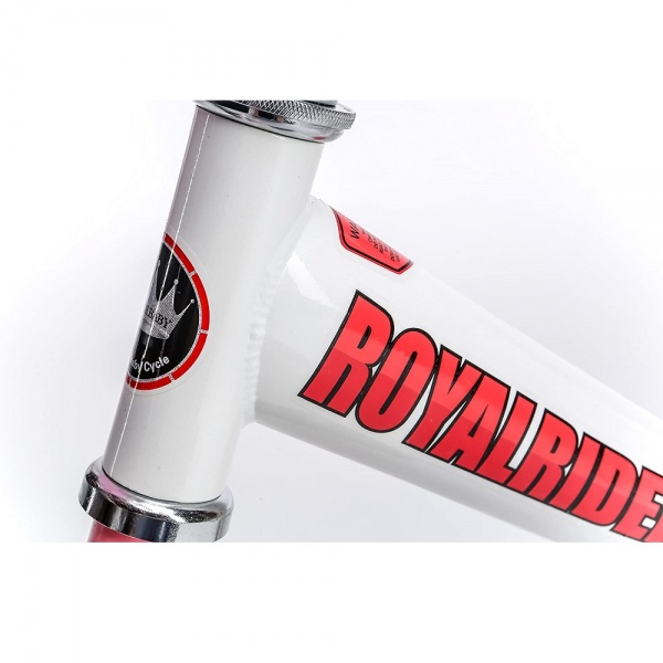 Велосипед детский RoyalBaby Jenny Girls 20