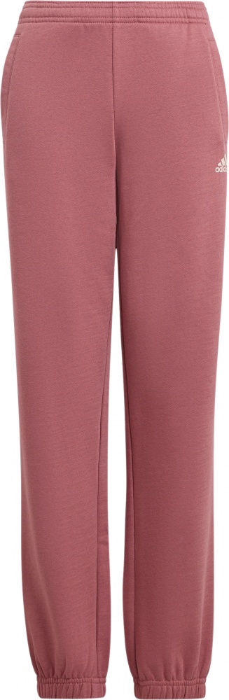 Брюки Adidas J SL FC FL PT IW0868 р. 164 красный