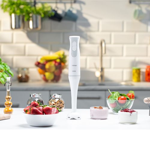 Блендер ручний Zelmer ZHB4550S 