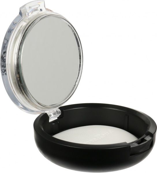 Пудра для лица Pierre Rene Professional Compact Powder №06 розово-бежевый