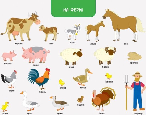 Книга «Книга Ура, мы заговорили! Кто и где?» 978-617-09-4645-4