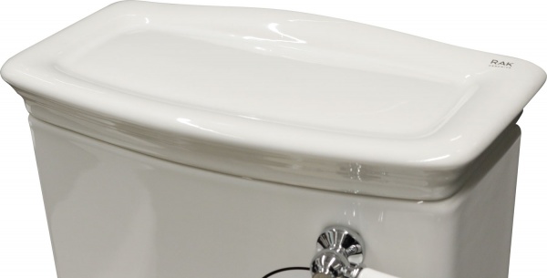 Унитаз-компакт R.A.K. WASHINGTON WT21+WT23+WTSC3901505