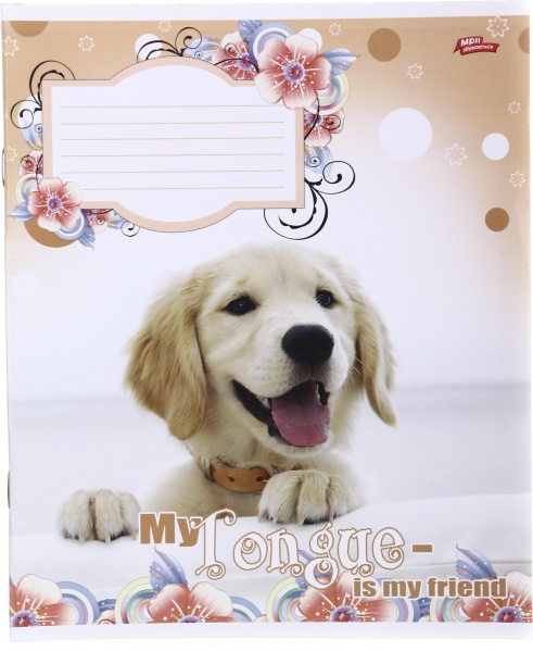 Зошит шкільний 12 аркушів у лінійку дизайн в асортименті Мрії збуваються