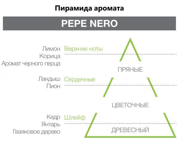 Аромадифузор для домудля тонусуантістресдля офісу Hypno Casa Pepe Nero 250 мл 