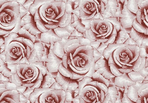 Шпалери зі спіненого вінілу Vinil Френсіс ВКП5-1081 0,53x10,05 м 