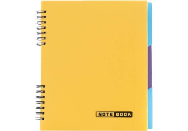 Блокнот евроспираль 120 листов E20225 Economix